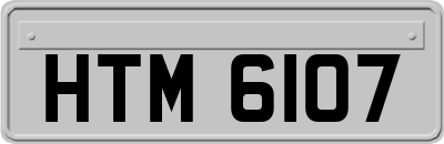 HTM6107