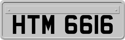 HTM6616