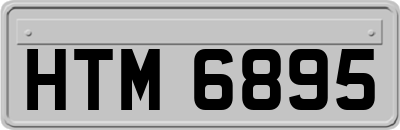 HTM6895