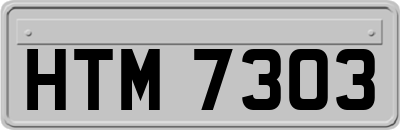 HTM7303