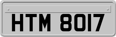 HTM8017