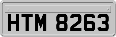 HTM8263