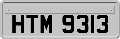 HTM9313