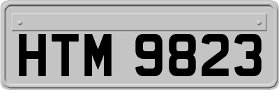 HTM9823