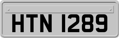 HTN1289