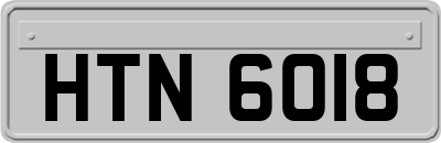 HTN6018