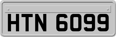 HTN6099