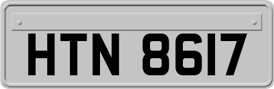 HTN8617