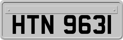 HTN9631