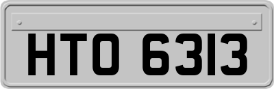HTO6313
