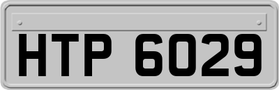 HTP6029