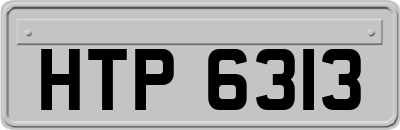 HTP6313