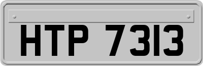 HTP7313