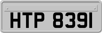 HTP8391
