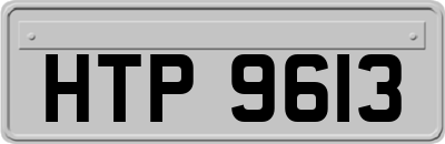 HTP9613