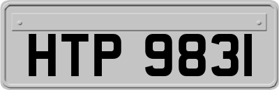 HTP9831