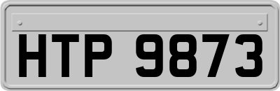 HTP9873