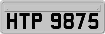 HTP9875