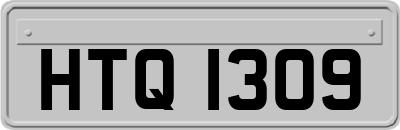 HTQ1309