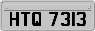 HTQ7313