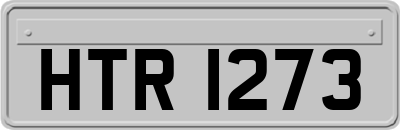HTR1273