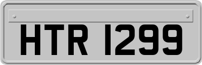 HTR1299