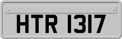 HTR1317
