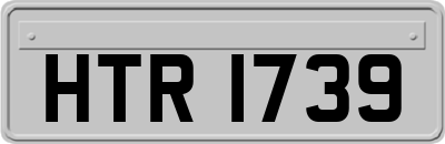 HTR1739