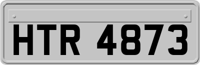 HTR4873