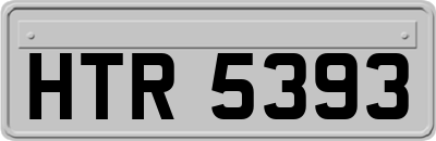 HTR5393