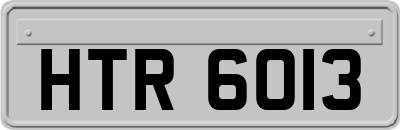 HTR6013