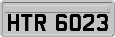 HTR6023