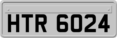 HTR6024