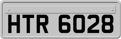 HTR6028