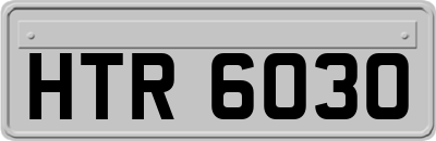 HTR6030