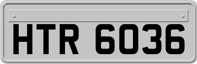 HTR6036