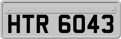 HTR6043