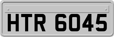 HTR6045