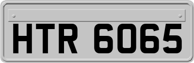 HTR6065
