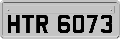 HTR6073