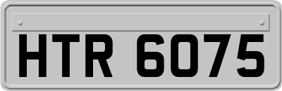 HTR6075