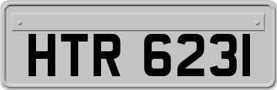 HTR6231