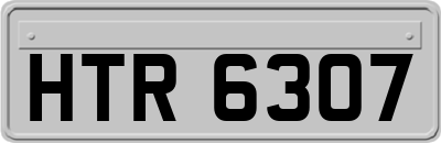 HTR6307