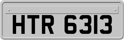 HTR6313