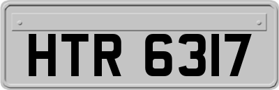 HTR6317