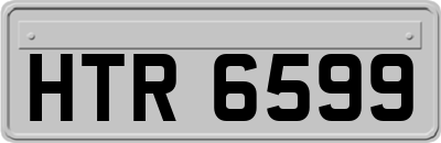 HTR6599