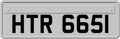 HTR6651