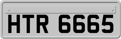 HTR6665