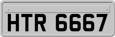 HTR6667