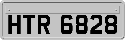 HTR6828